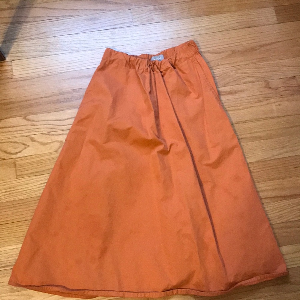 Everlane skirt